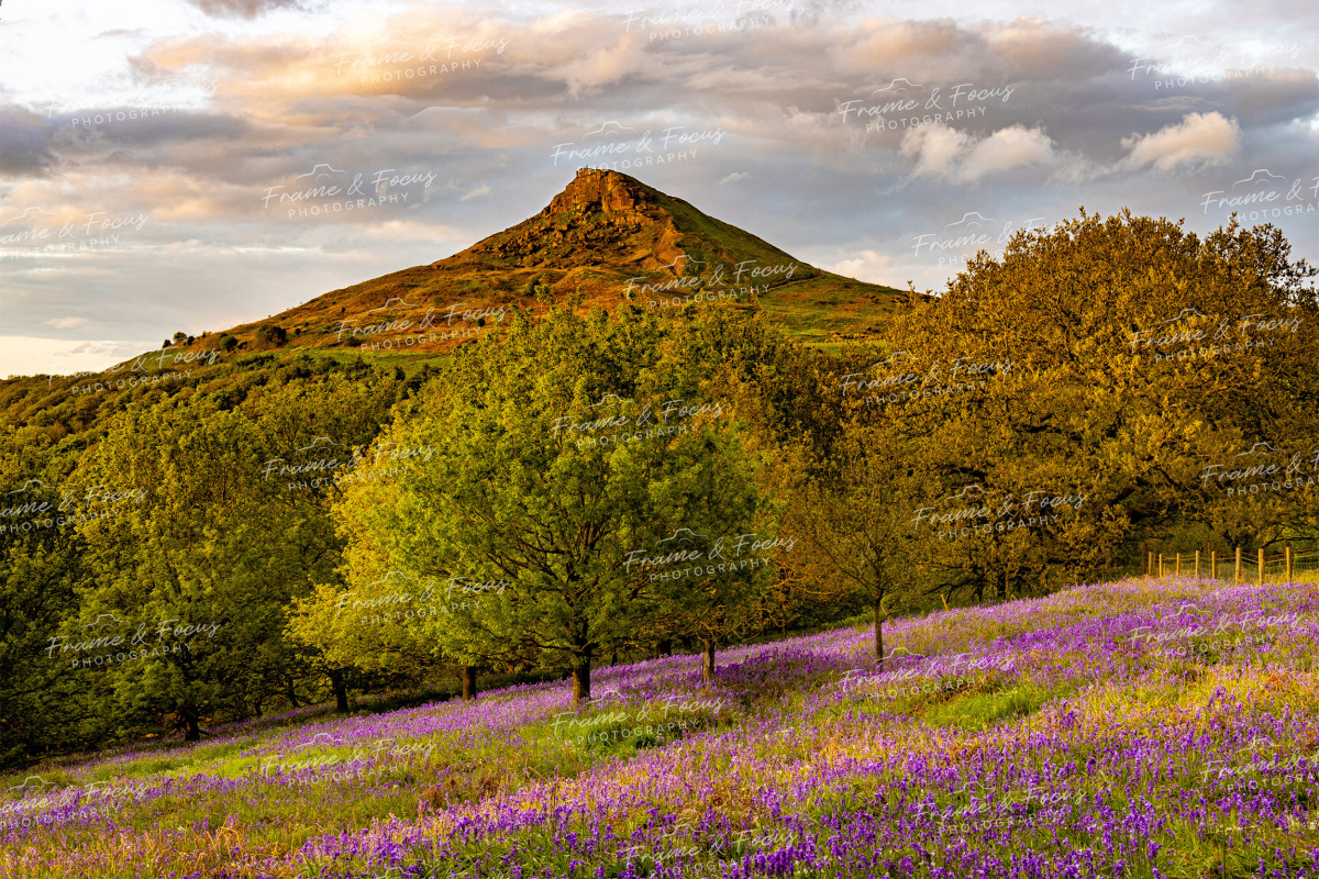 To buy a print or any of the below please click on the images